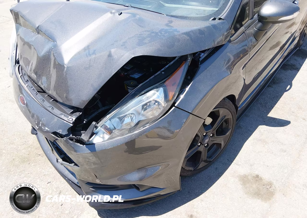 2017 Ford Fiesta St VIN:3FADP4GX1HM104664 - 14