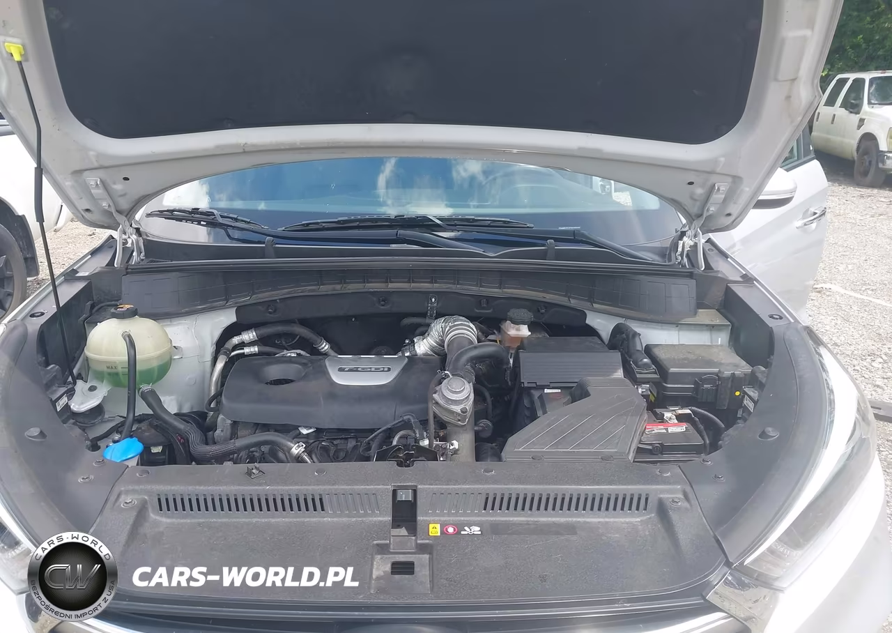 2017 Hyundai Tucson Limited VIN:KM8J3CA29HU336324 - 10