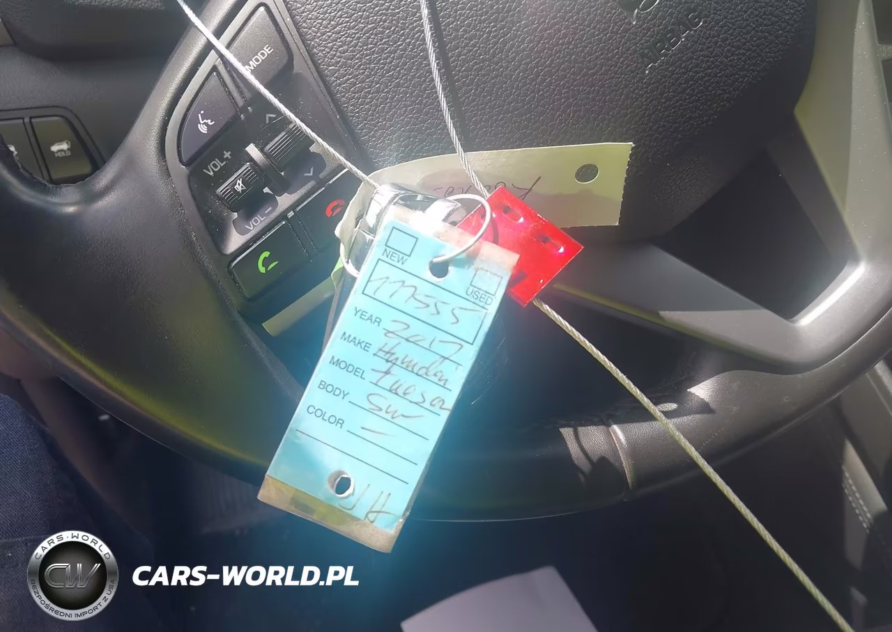 2017 Hyundai Tucson Limited VIN:KM8J3CA29HU336324 - 11
