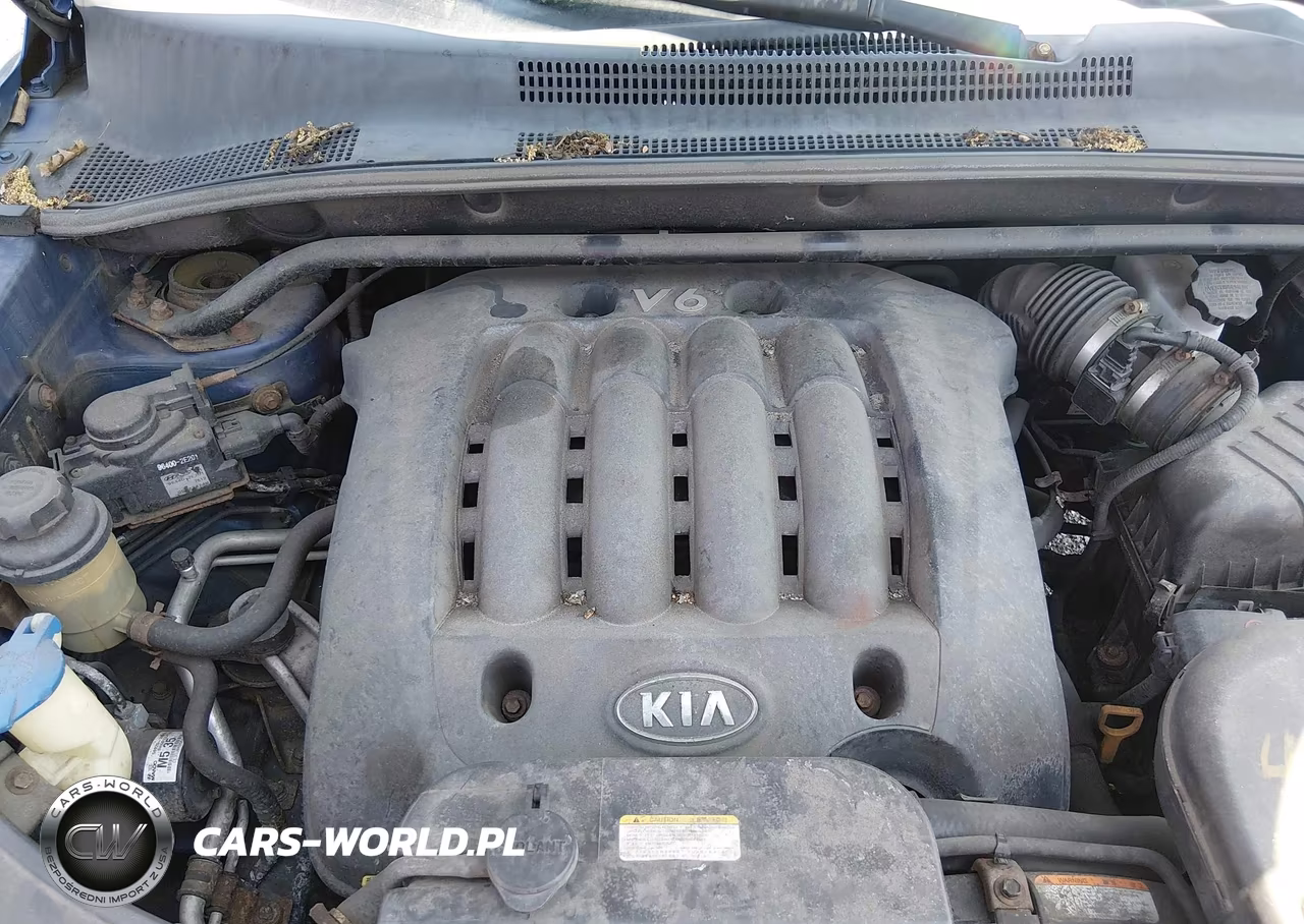 2007 Kia Sportage Lx V6 VIN:KNDJE723X77446325 - 10