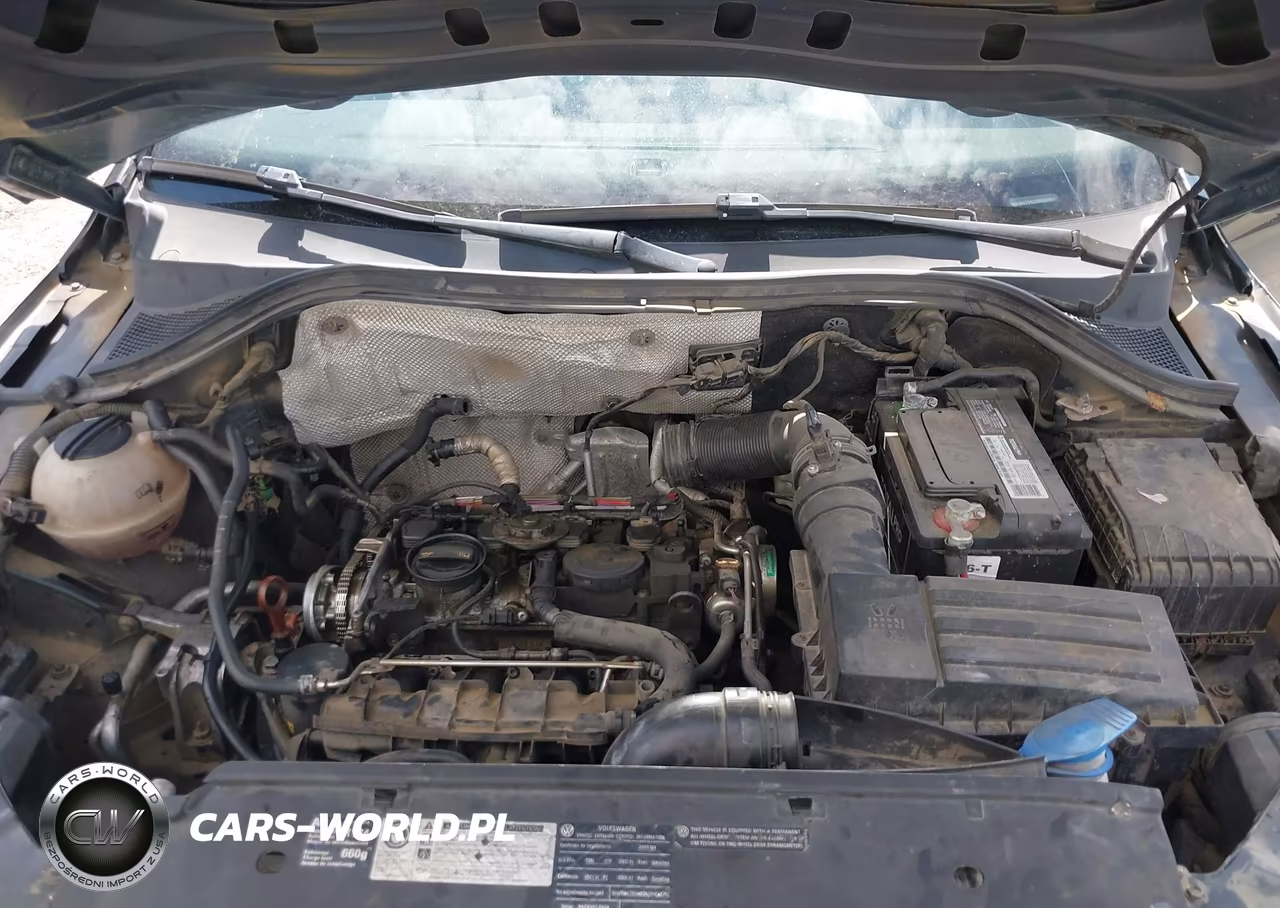 2009 Volkswagen Tiguan Se VIN:WVGBV75N29W539460 - 10