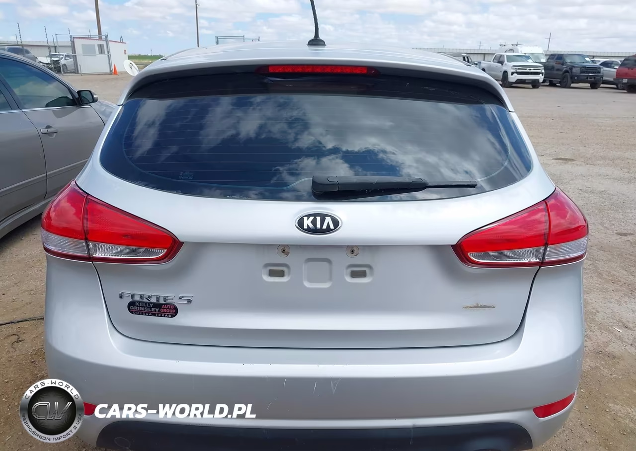 2017 Kia Forte Lx VIN:KNAFK5A84H5705305 - 17