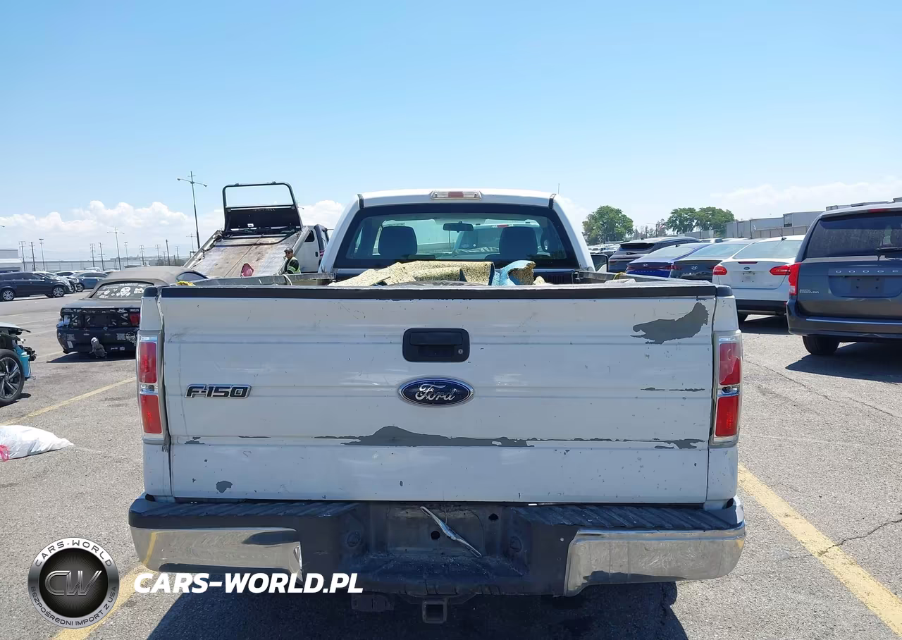 2010 Ford F-150 Stx-Xl-Xl W-Mid-Box Prep-Xlt-Xlt W-Mid-Box Prep VIN:1FTMF1CW7AKE43192 - 17