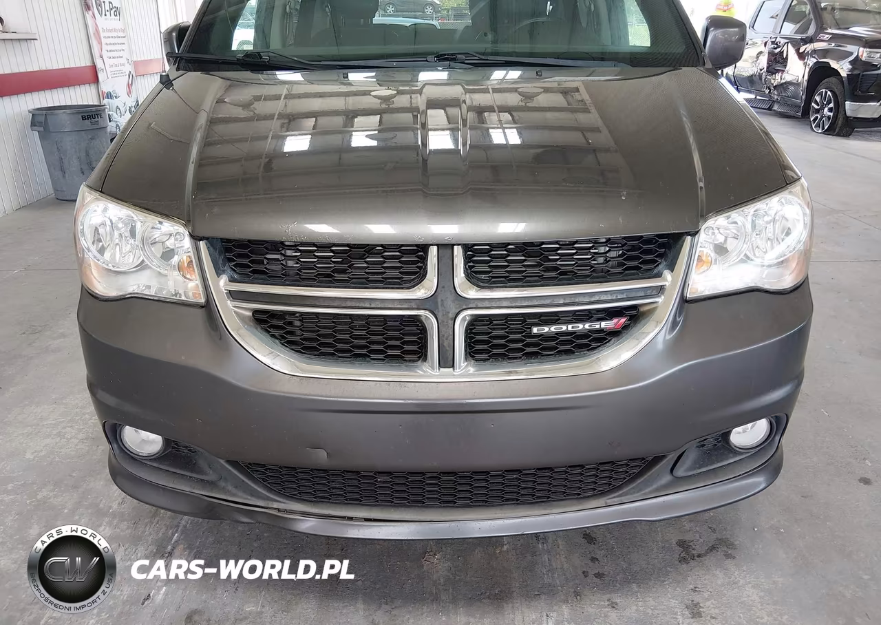 2019 Dodge Grand Caravan Sxt VIN:2C4RDGCG7KR585617 - 12