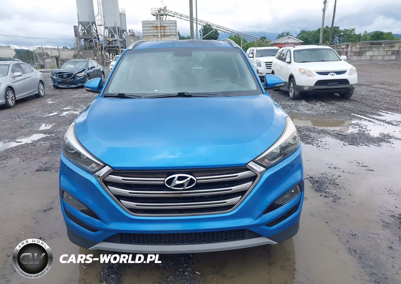 2017 Hyundai Tucson Limited VIN:KM8J33A20HU416367 - 12