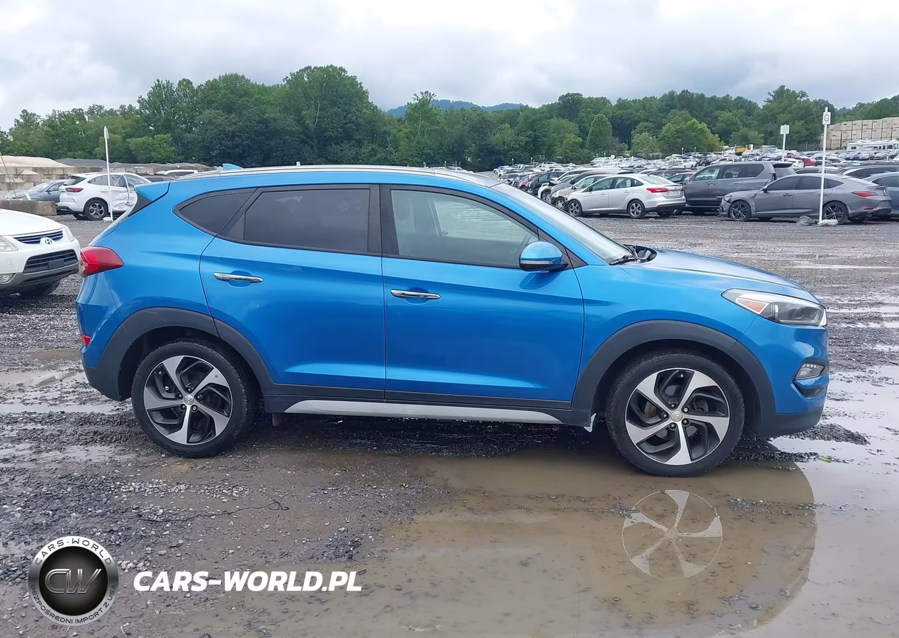 2017 Hyundai Tucson Limited VIN:KM8J33A20HU416367 - 13