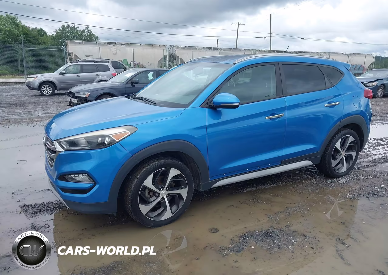 2017 Hyundai Tucson Limited VIN:KM8J33A20HU416367 - 2