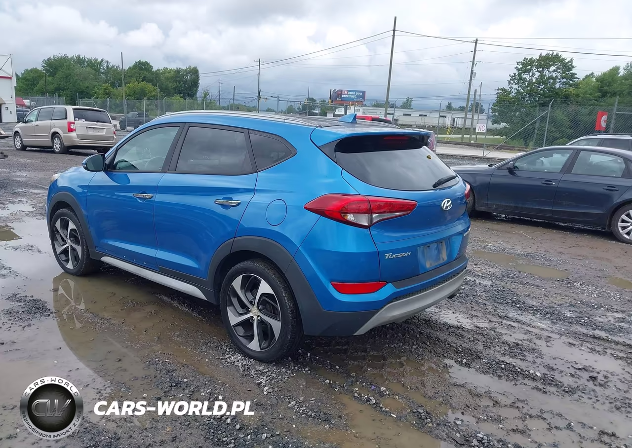 2017 Hyundai Tucson Limited VIN:KM8J33A20HU416367 - 3