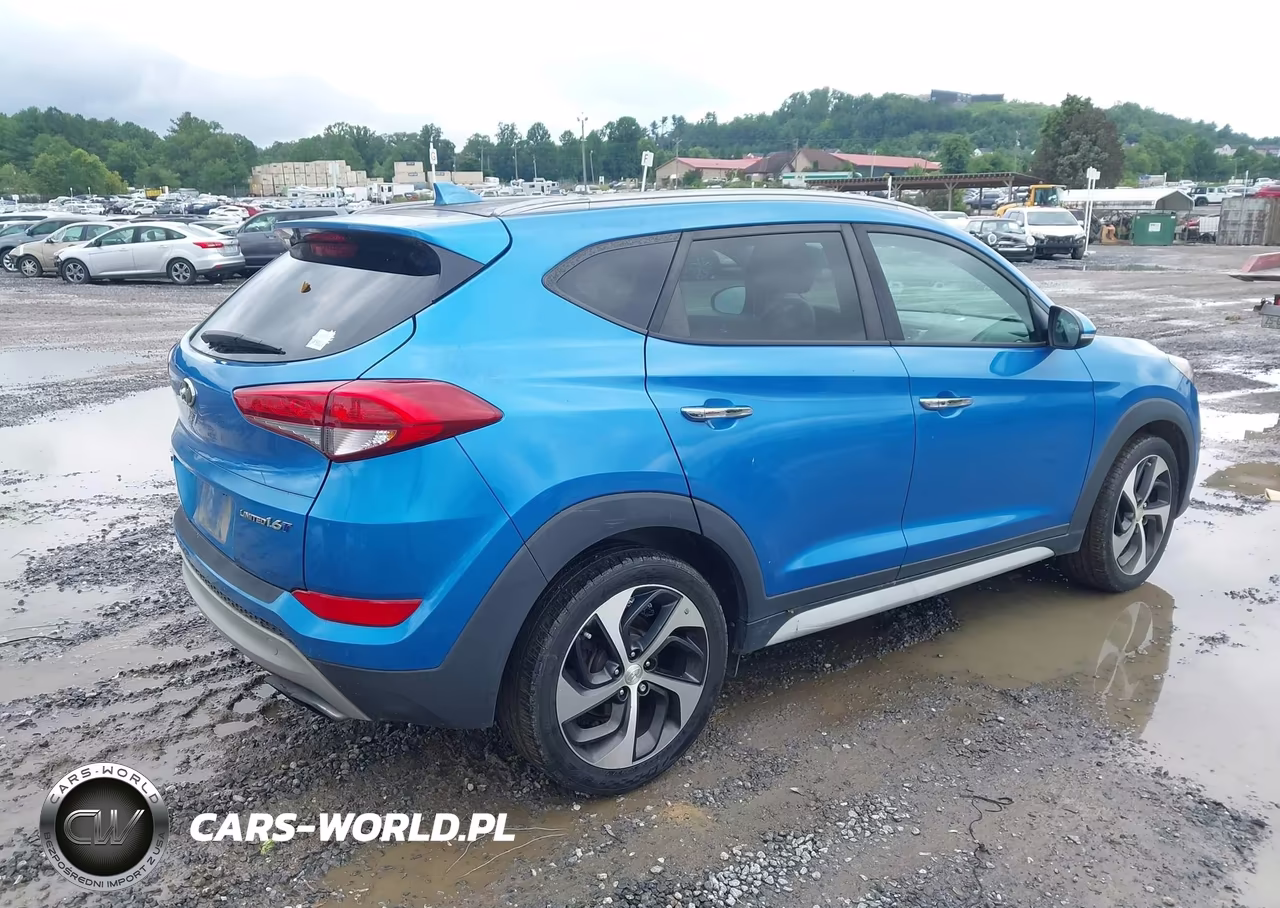 2017 Hyundai Tucson Limited VIN:KM8J33A20HU416367 - 4