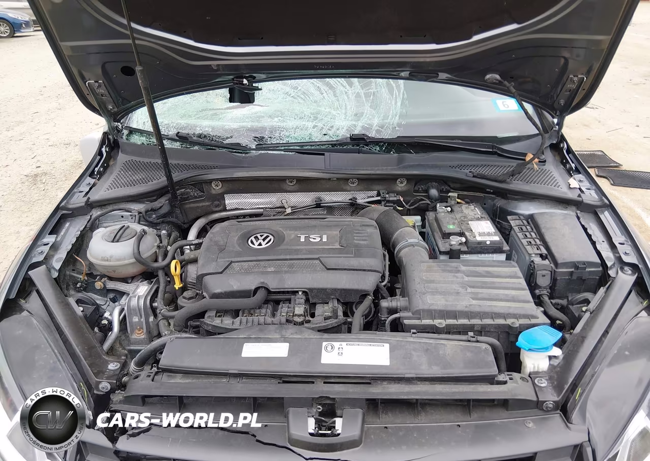 2017 Volkswagen Golf Alltrack Tsi S-Tsi Se-Tsi Sel VIN:3VWH17AU9HM542360 - 10