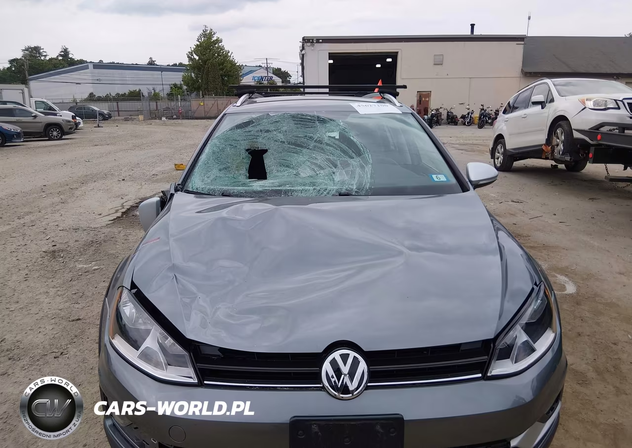 2017 Volkswagen Golf Alltrack Tsi S-Tsi Se-Tsi Sel VIN:3VWH17AU9HM542360 - 6