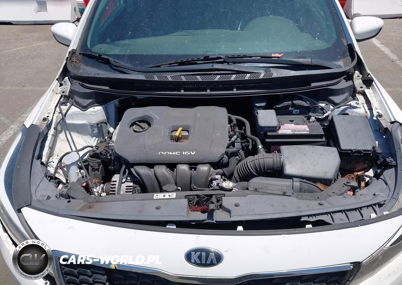 2018 Kia Forte Lx VIN:3KPFK4A74JE244430 - 10