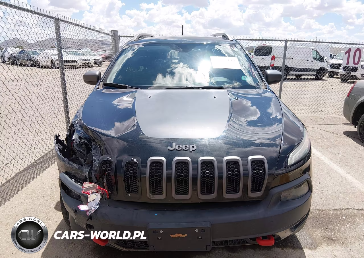 2016 Jeep Cherokee Trailhawk VIN:1C4PJMBS8GW313872 - 12