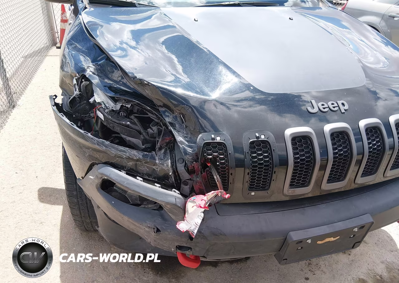 2016 Jeep Cherokee Trailhawk VIN:1C4PJMBS8GW313872 - 6