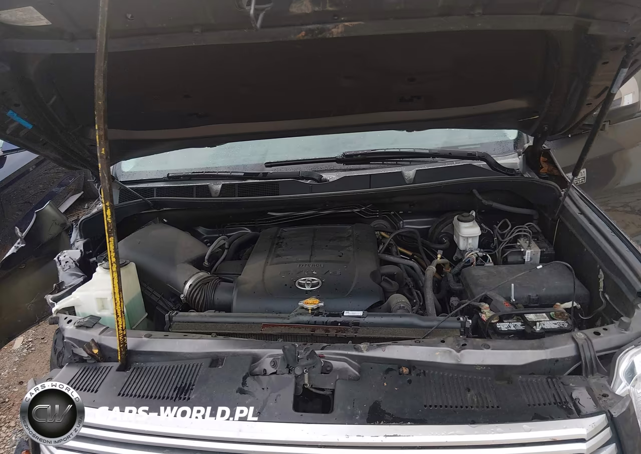 2017 Toyota Tundra Platinum 5.7L V8 VIN:5TFGW5F16HX213449 - 10