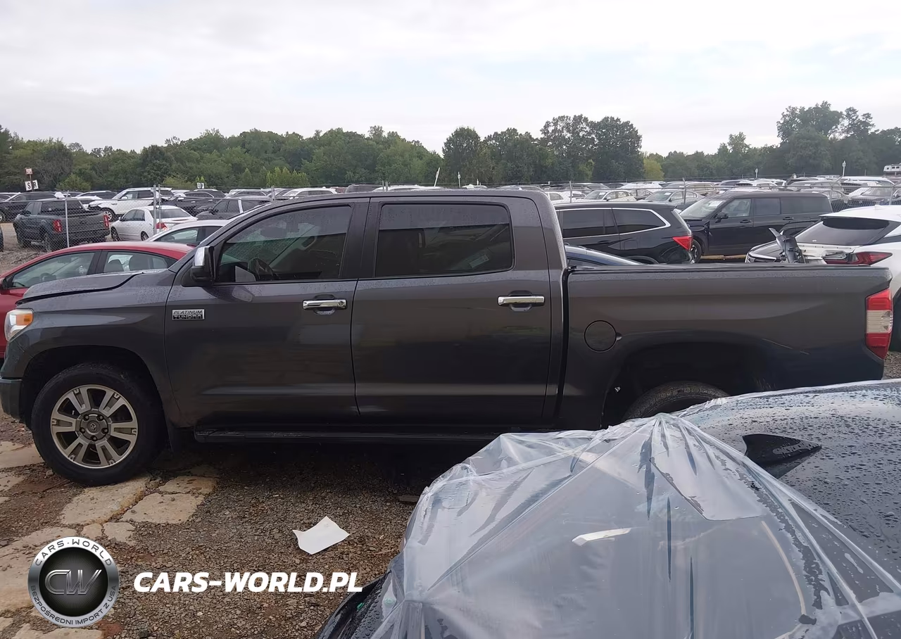 2017 Toyota Tundra Platinum 5.7L V8 VIN:5TFGW5F16HX213449 - 13