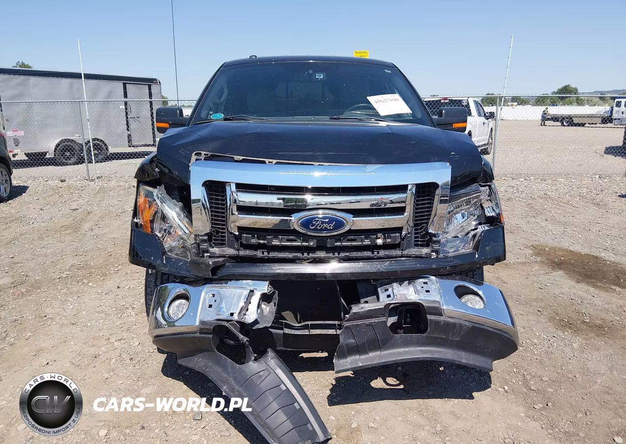 2012 Ford F-150 Xlt VIN:1FTFX1EF5CFD09702 - 12