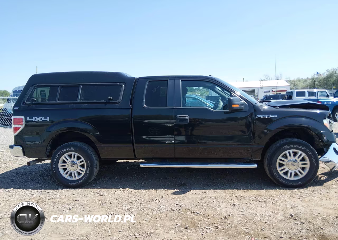 2012 Ford F-150 Xlt VIN:1FTFX1EF5CFD09702 - 13