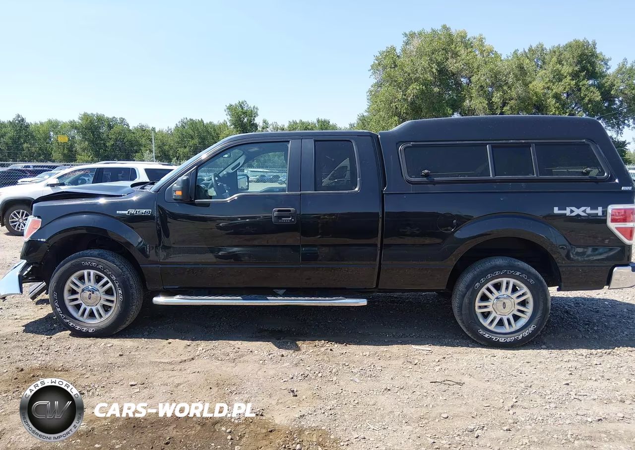 2012 Ford F-150 Xlt VIN:1FTFX1EF5CFD09702 - 14