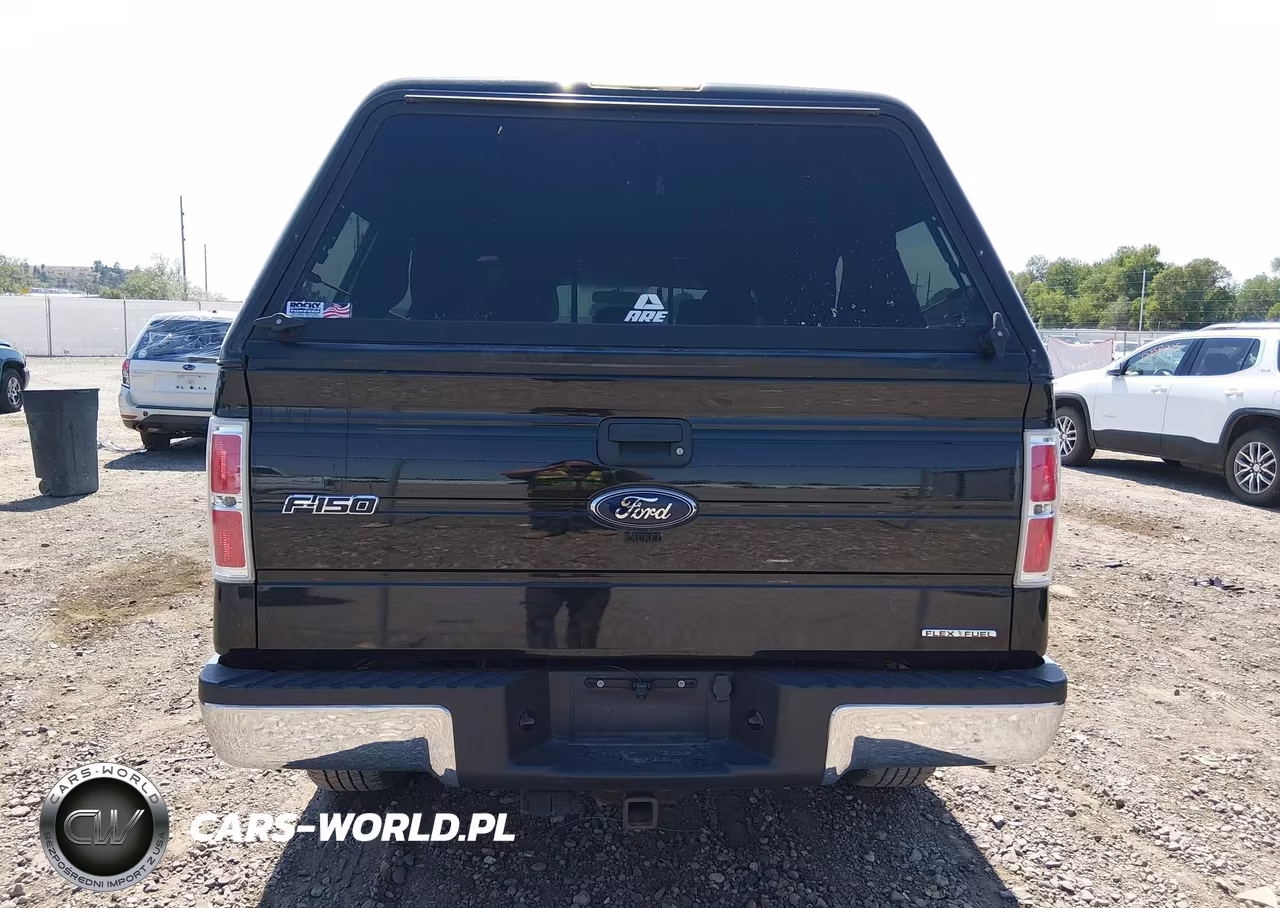 2012 Ford F-150 Xlt VIN:1FTFX1EF5CFD09702 - 16