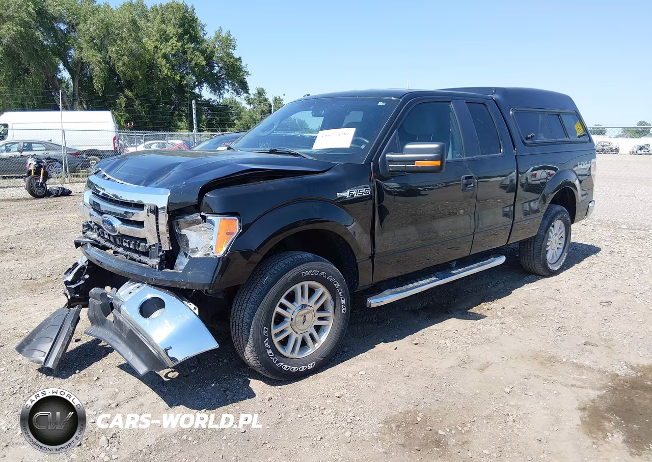 2012 Ford F-150 Xlt VIN:1FTFX1EF5CFD09702 - 2