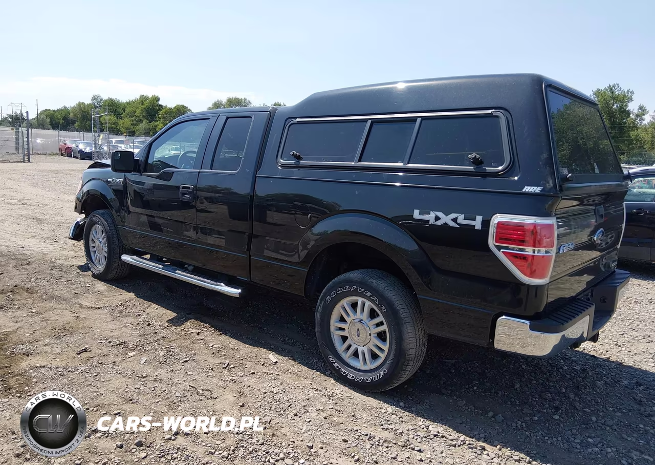 2012 Ford F-150 Xlt VIN:1FTFX1EF5CFD09702 - 3
