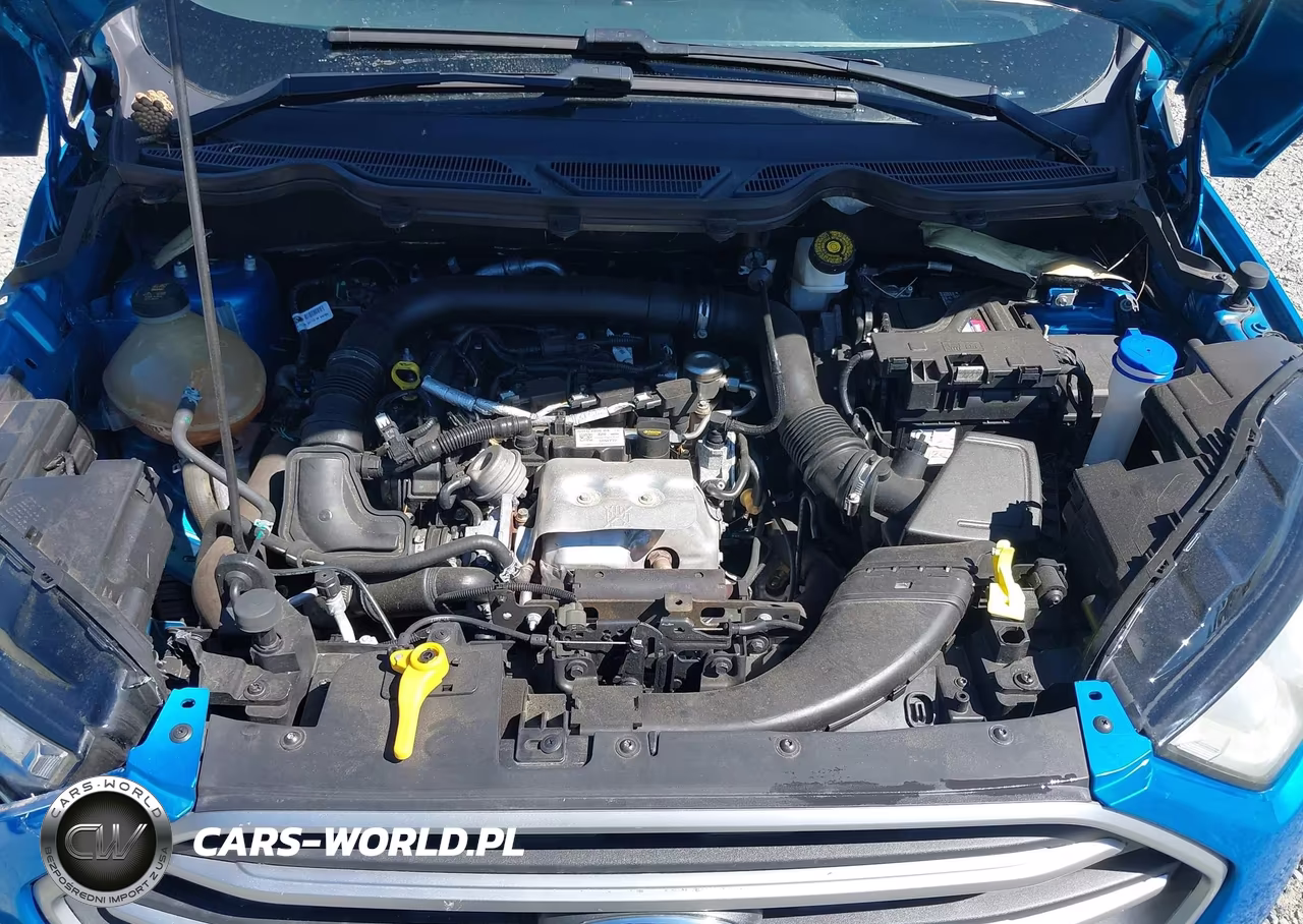 2018 Ford Ecosport Se VIN:MAJ3P1TEXJC191891 - 10