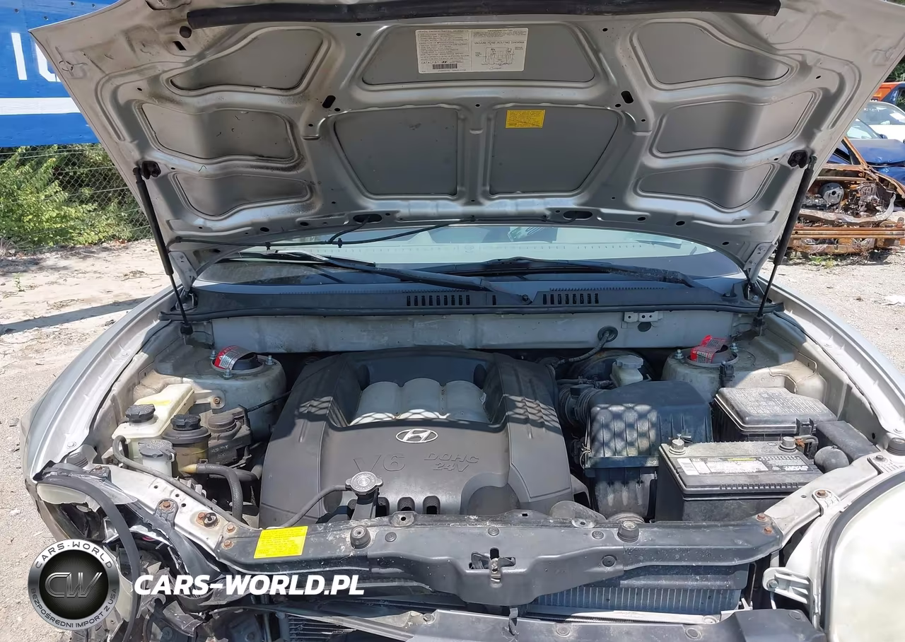 2003 Hyundai Santa Fe Gls-Lx VIN:KM8SC73D33U430833 - 10