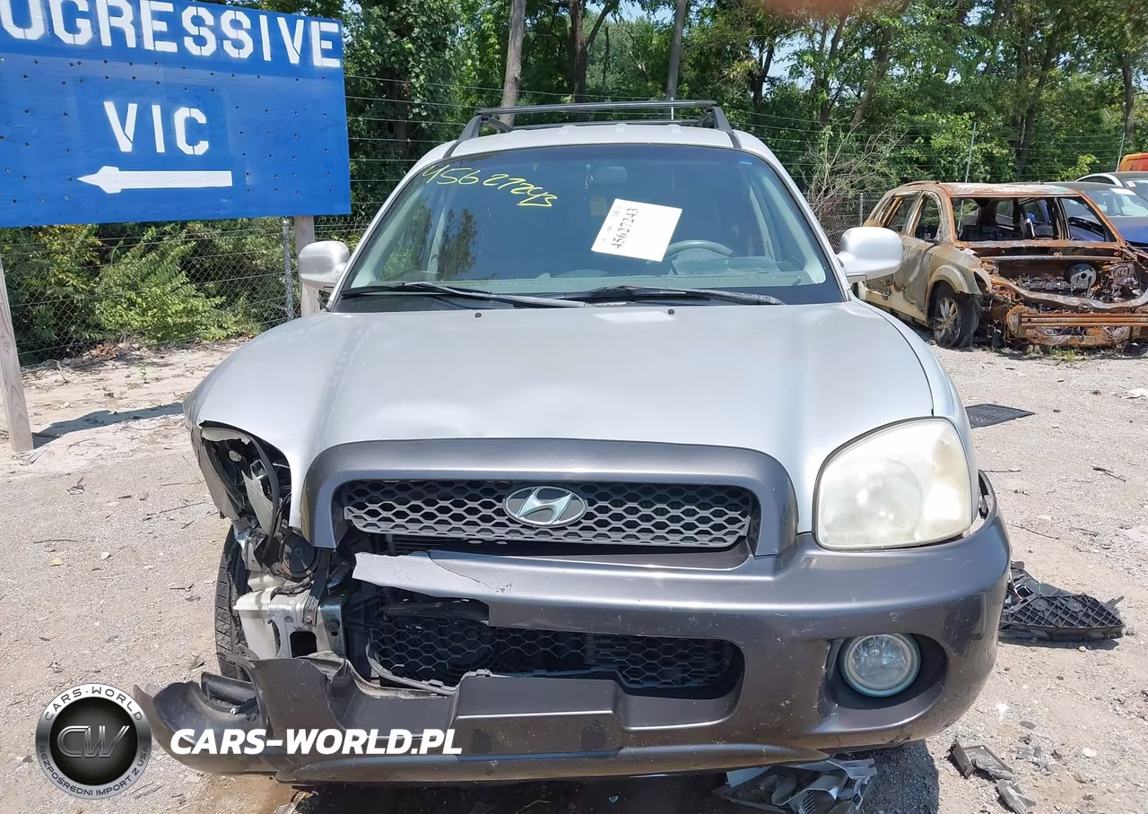 2003 Hyundai Santa Fe Gls-Lx VIN:KM8SC73D33U430833 - 12
