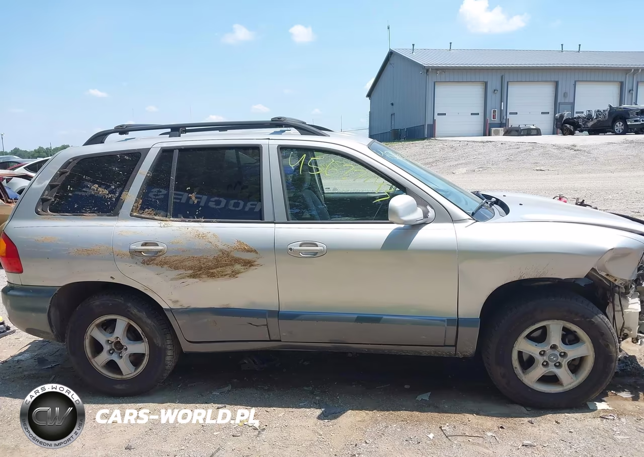2003 Hyundai Santa Fe Gls-Lx VIN:KM8SC73D33U430833 - 13
