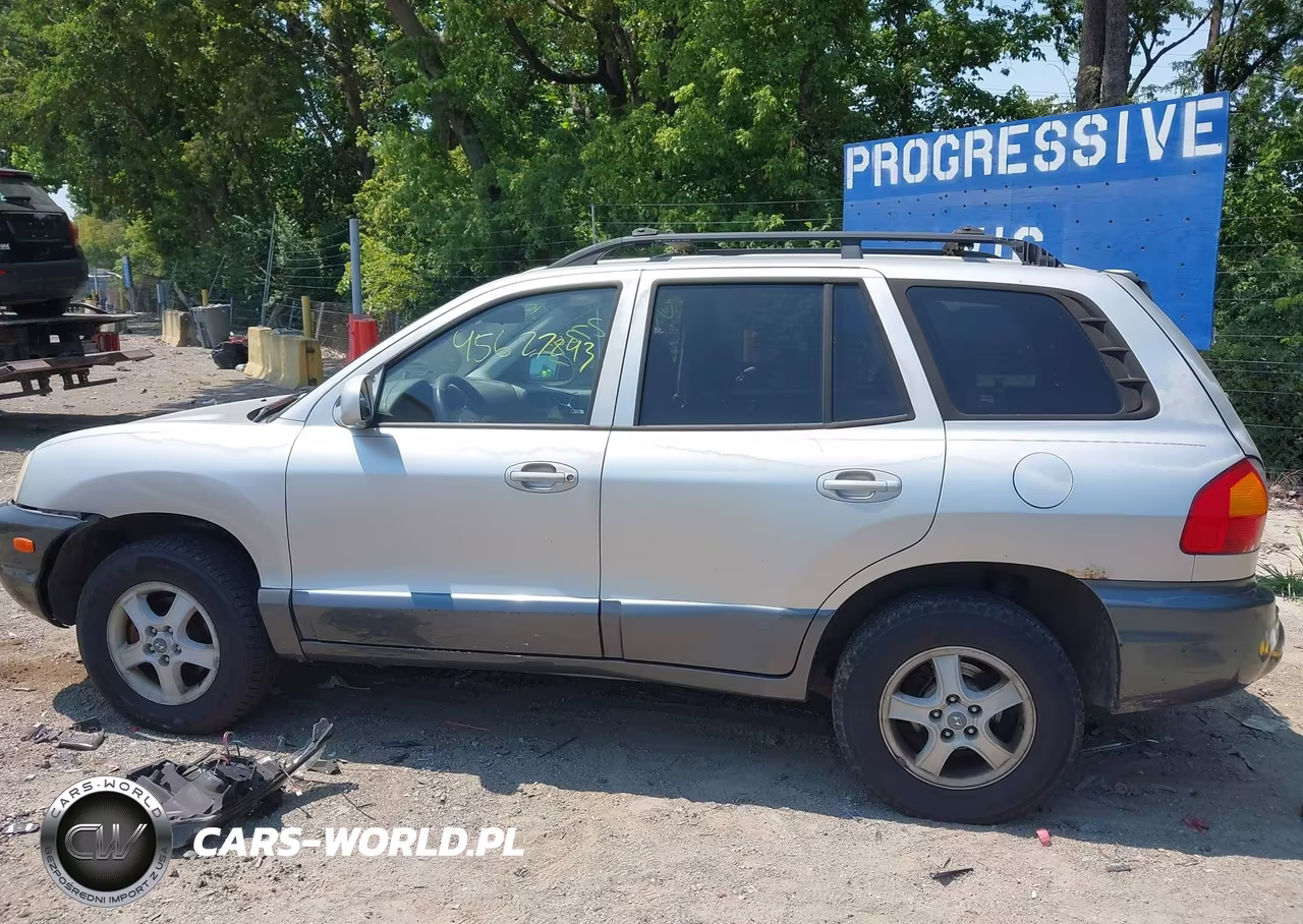 2003 Hyundai Santa Fe Gls-Lx VIN:KM8SC73D33U430833 - 14