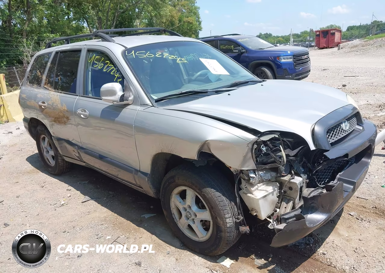 2003 Hyundai Santa Fe Gls-Lx VIN:KM8SC73D33U430833 - 6