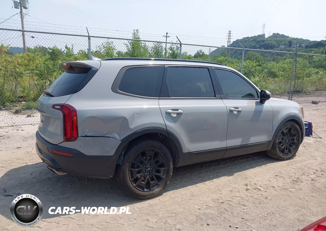 2022 Kia Telluride Ex VIN:5XYP3DHCXNG302019 - 13