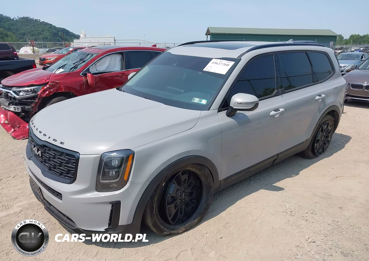 2022 Kia Telluride Ex VIN:5XYP3DHCXNG302019 - 2