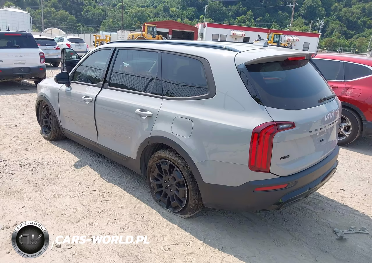 2022 Kia Telluride Ex VIN:5XYP3DHCXNG302019 - 3