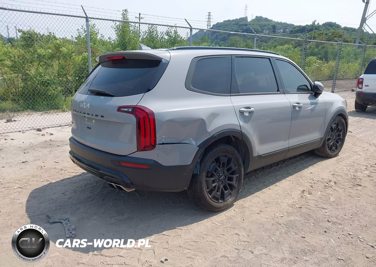 2022 Kia Telluride Ex VIN:5XYP3DHCXNG302019 - 4