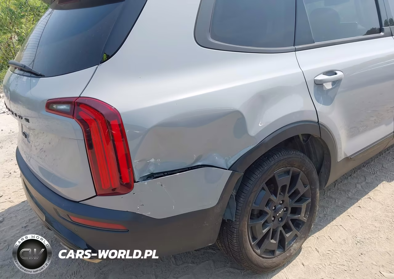2022 Kia Telluride Ex VIN:5XYP3DHCXNG302019 - 6