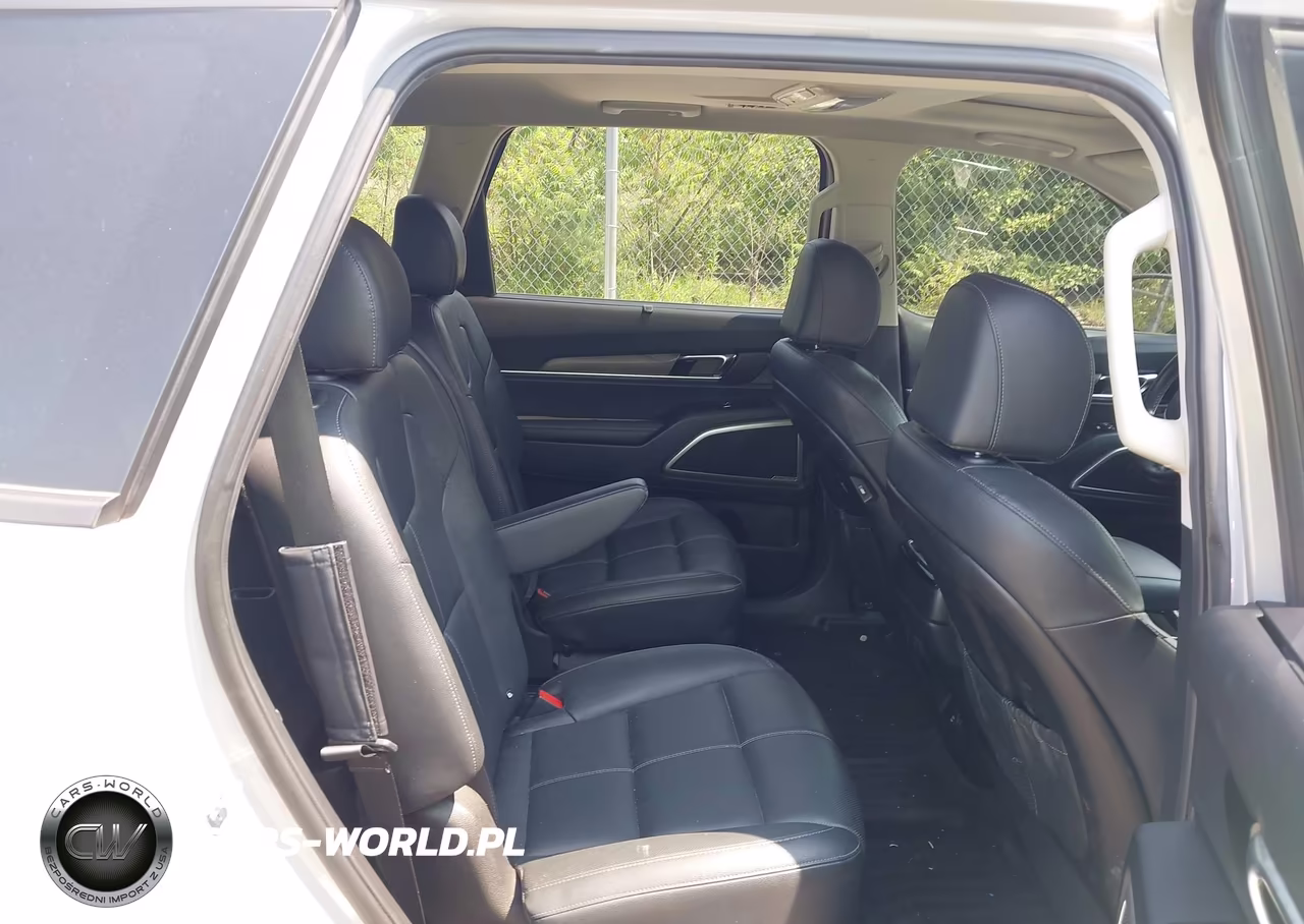 2022 Kia Telluride Ex VIN:5XYP3DHCXNG302019 - 8