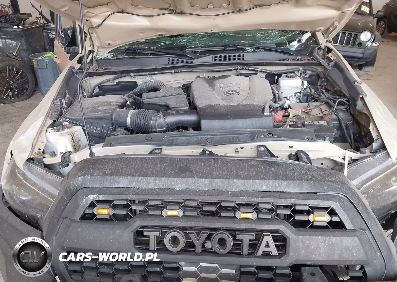 2020 Toyota Tacoma Trd Off-Road VIN:3TMCZ5AN6LM345187 - 10