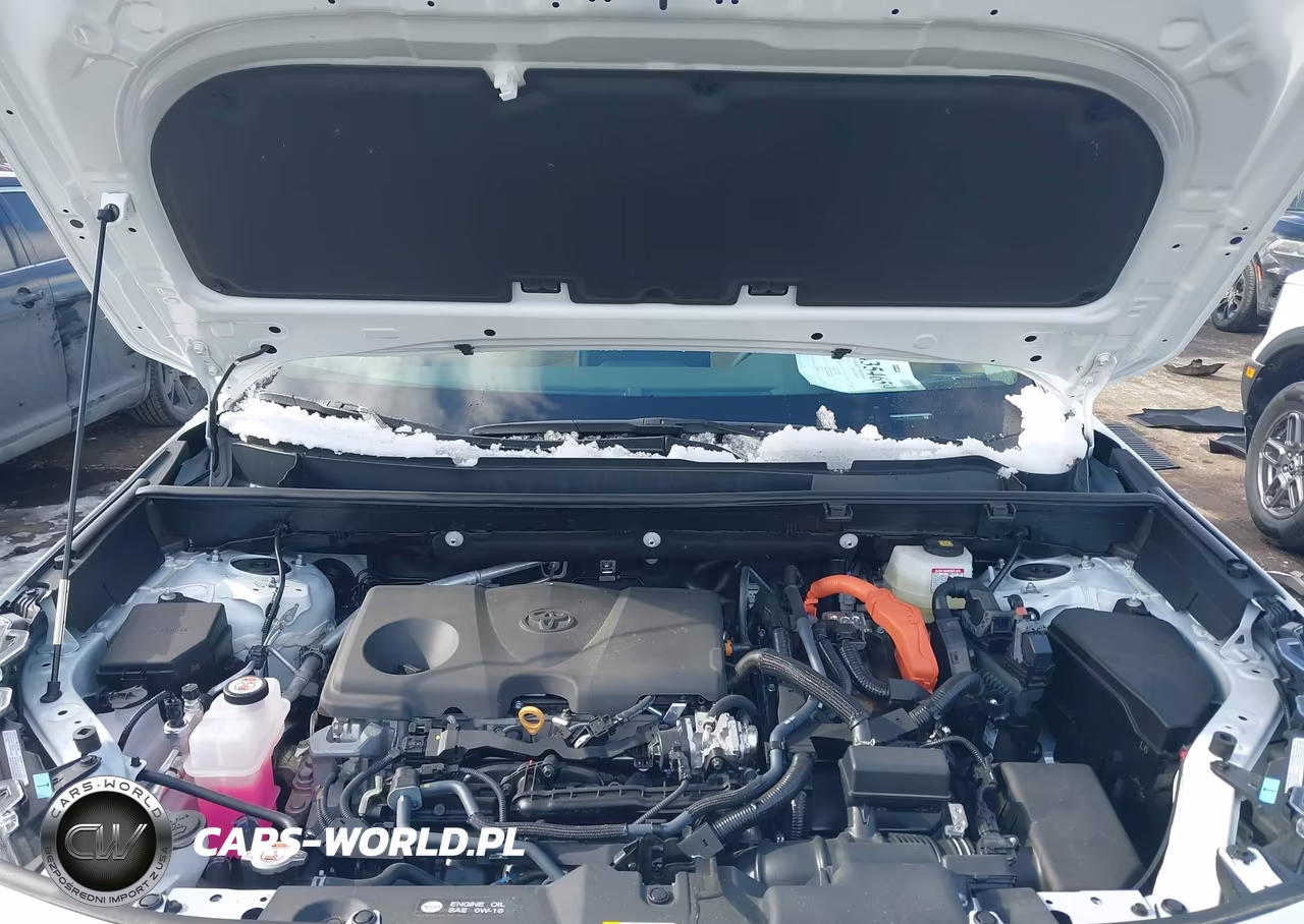 2025 Toyota Rav4 Hybrid Xle VIN:4T3RWRFV5SU198070 - 10