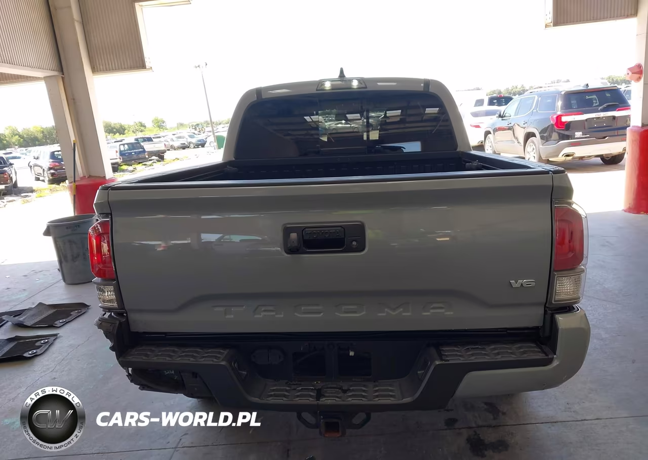 2020 Toyota Tacoma Trd Sport VIN:3TMCZ5AN9LM320865 - 17