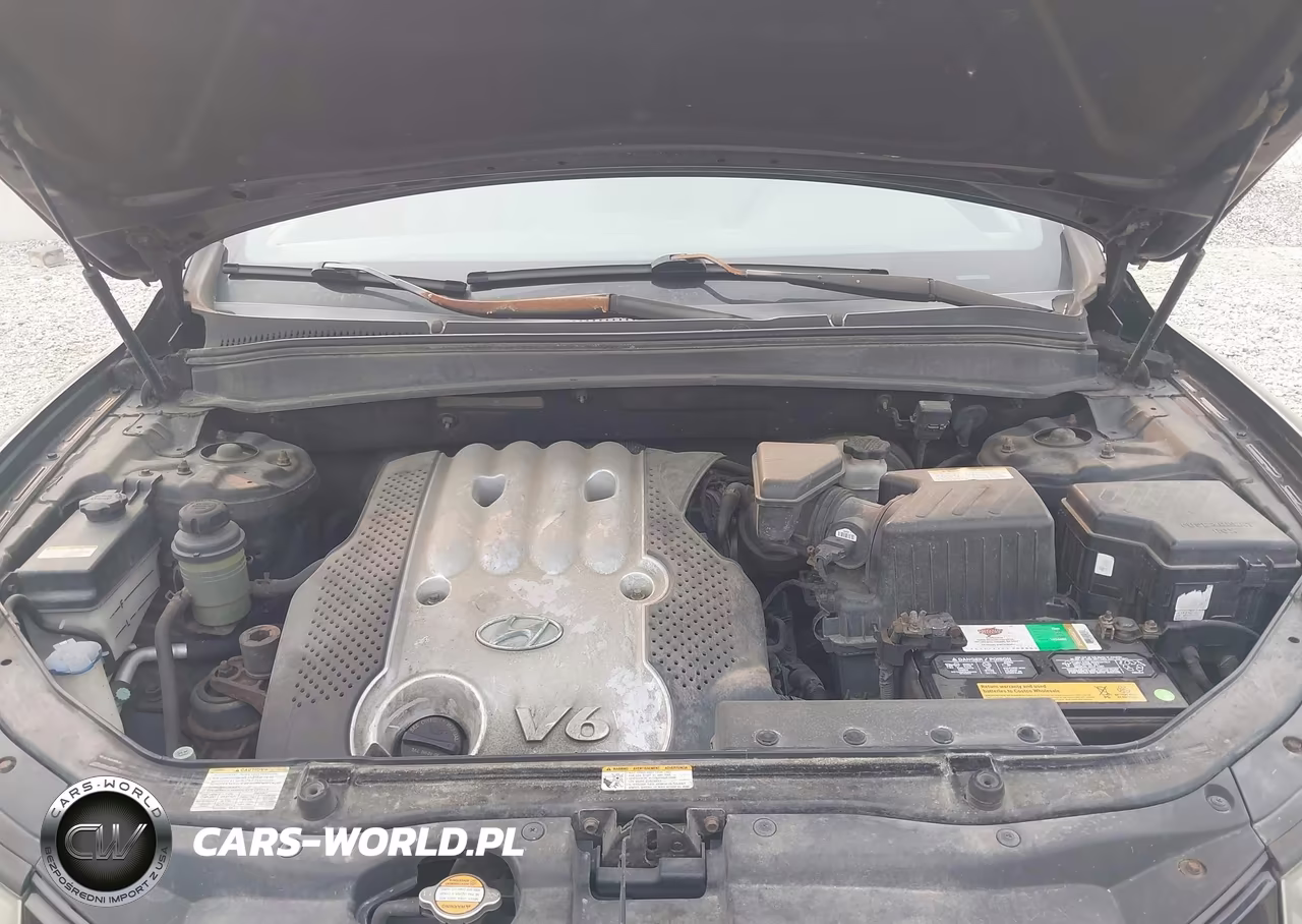 2007 Hyundai Santa Fe Gls VIN:5NMSG13D17H041529 - 10