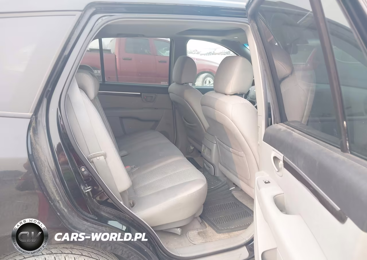 2007 Hyundai Santa Fe Gls VIN:5NMSG13D17H041529 - 8