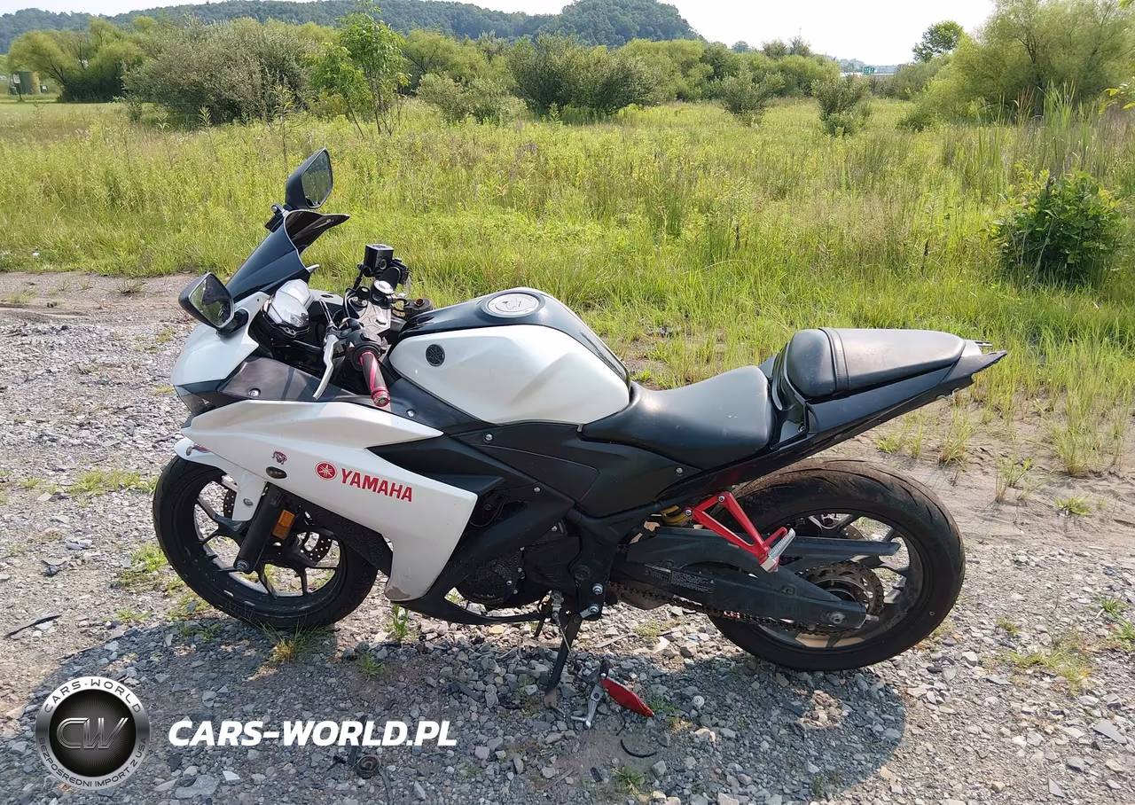 2017 Yamaha Yzfr3 A VIN:MH3RH15Y6HK002714 - 13