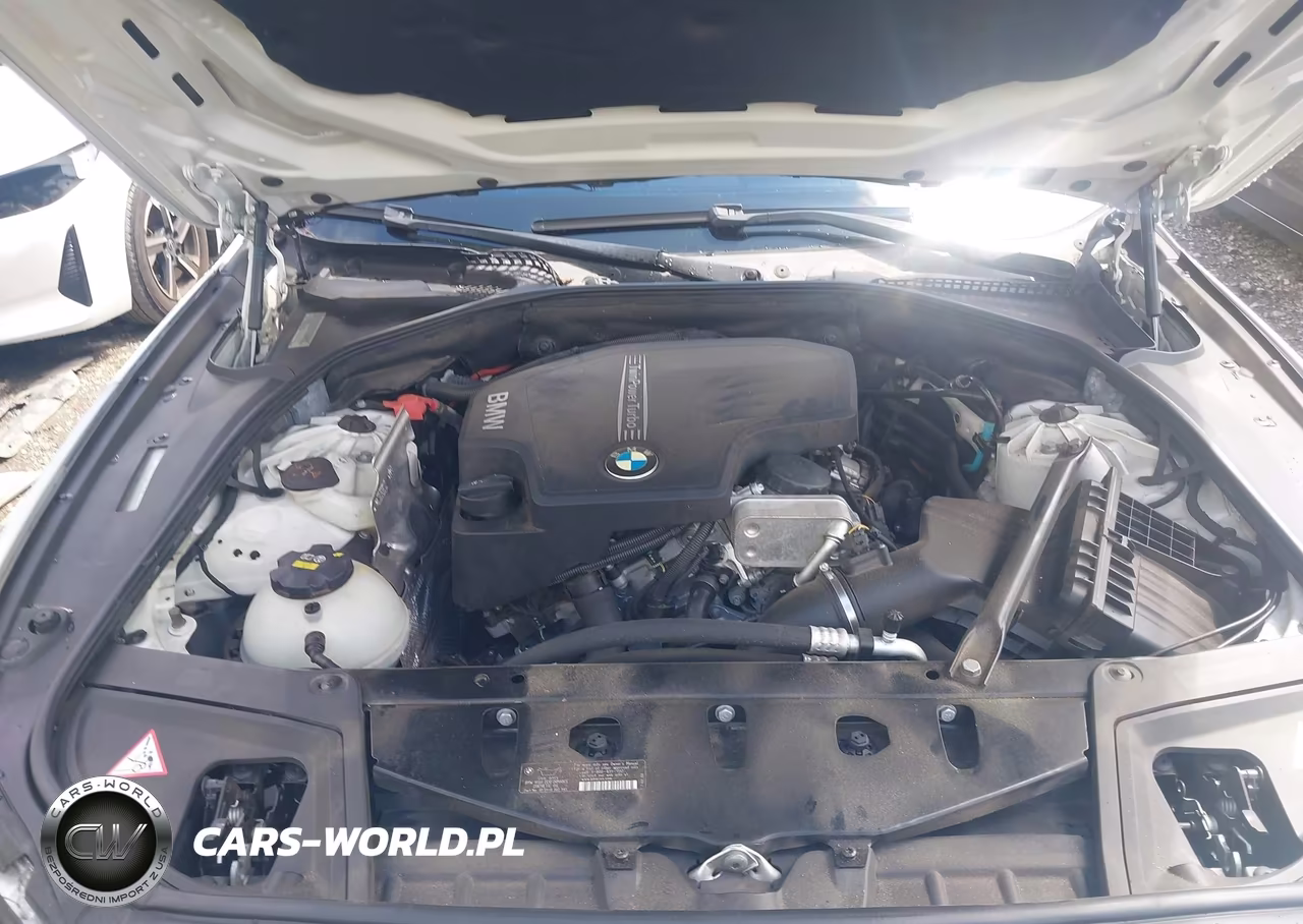2015 BMW 528I VIN:WBA5A5C59FD513513 - 10