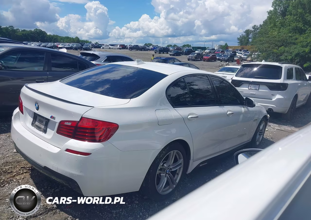 2015 BMW 528I VIN:WBA5A5C59FD513513 - 13