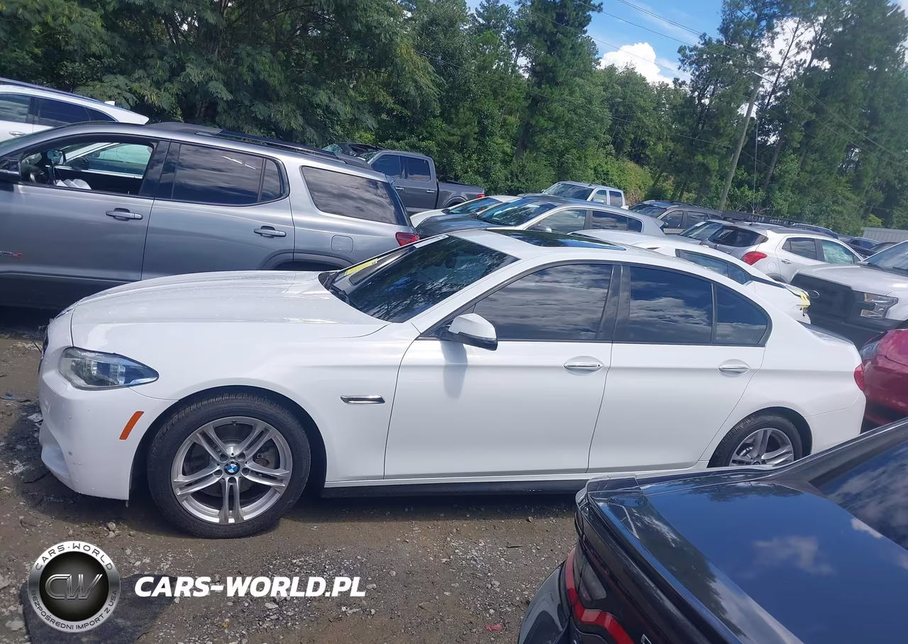 2015 BMW 528I VIN:WBA5A5C59FD513513 - 14