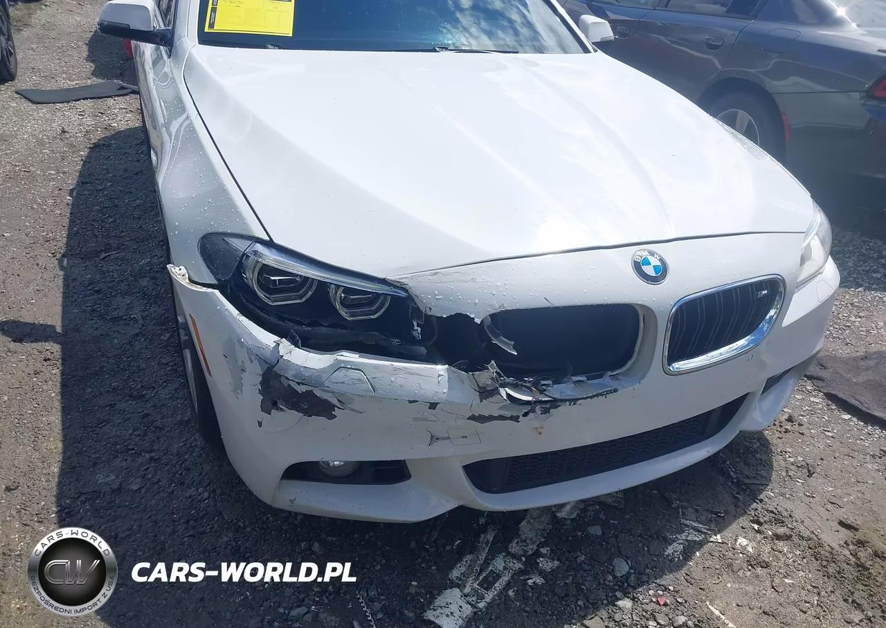 2015 BMW 528I VIN:WBA5A5C59FD513513 - 6