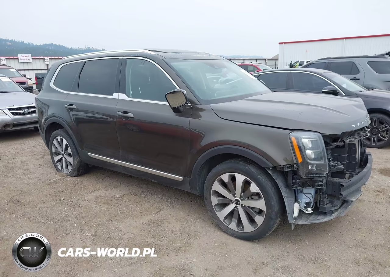 2021 Kia Telluride Ex VIN:5XYP3DHC7MG167757 - 1