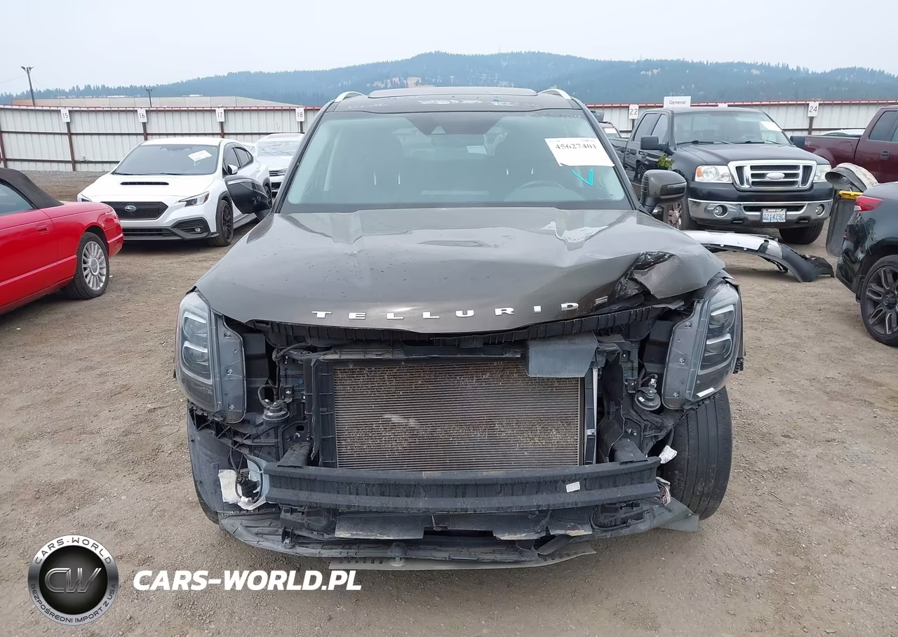 2021 Kia Telluride Ex VIN:5XYP3DHC7MG167757 - 13